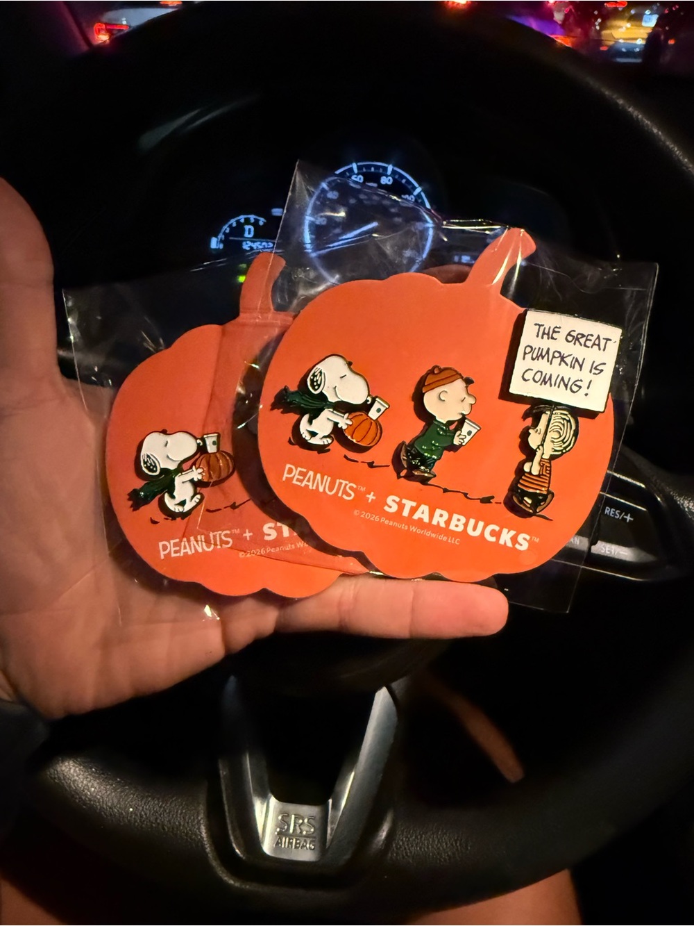 Peanuts x Starbucks Pin BUNDLE